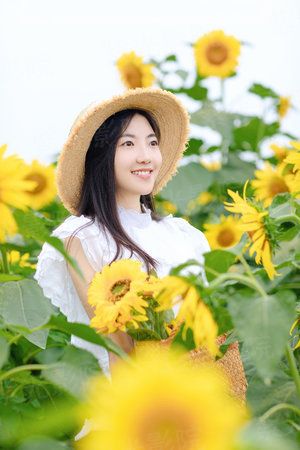 灵域战仙